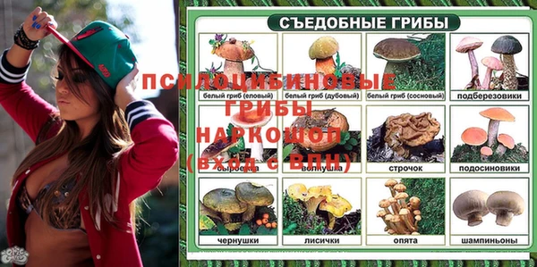дживик Липки