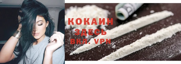 дживик Липки