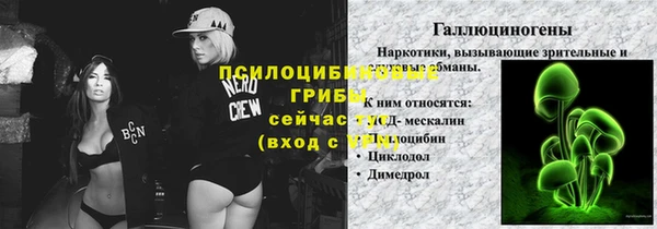 дживик Липки