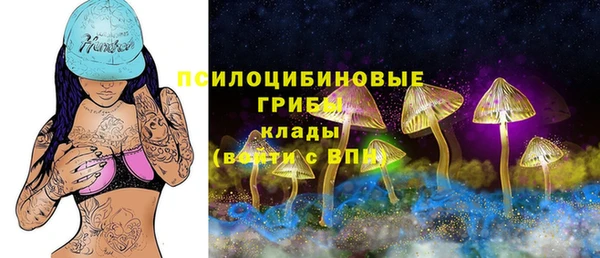 дживик Липки