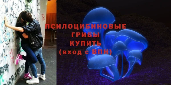 дживик Липки