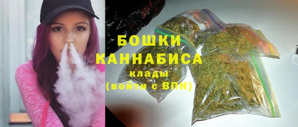 дживик Липки