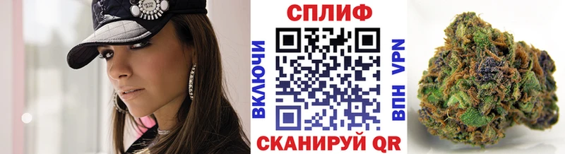Конопля гибрид  Новомичуринск 